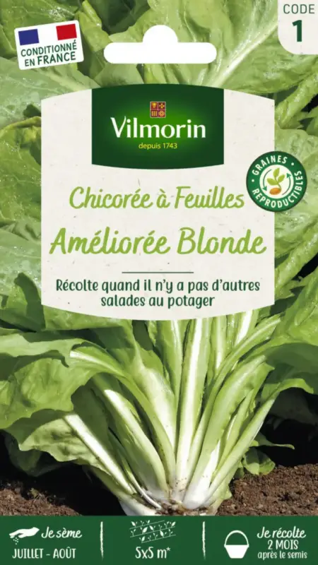 Chicorée Sauvage à feuilles améliorée Blonde Vilmorin – graines à semer Retour Gratuit
