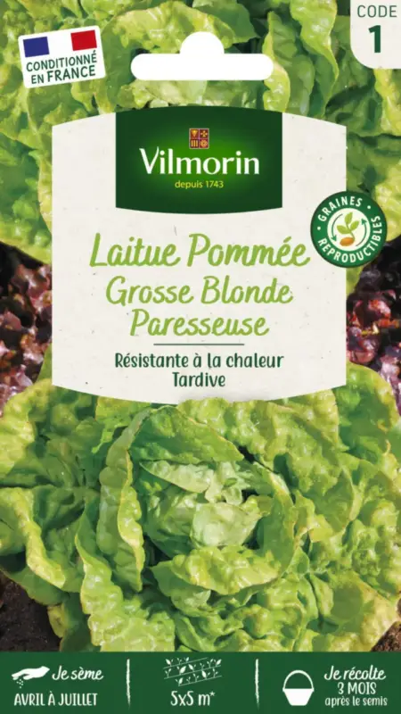 Vente Flash Laitue Pommée Grosse Blonde Paresseuse Vilmorin – graines à semer