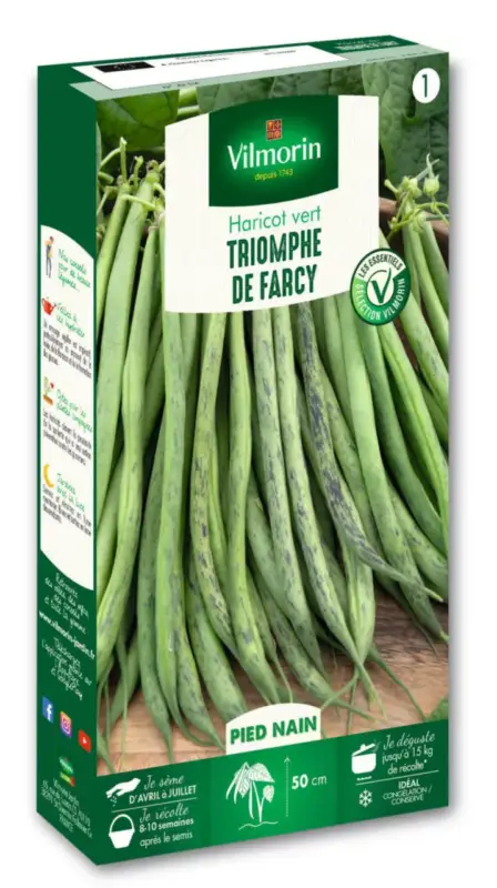 Dernière Chance Haricot nain à filet Triomphe de Farcy Vilmorin – graines à semer
