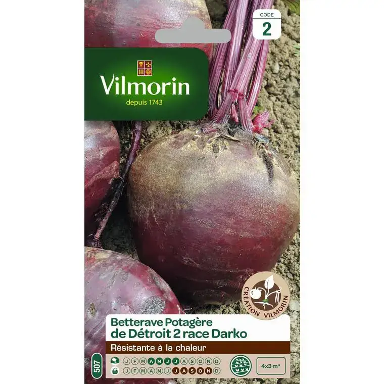 Graines de Betterave potagère de Détroit 2race Darko Vilmorin – graines à semer Expédition Rapide