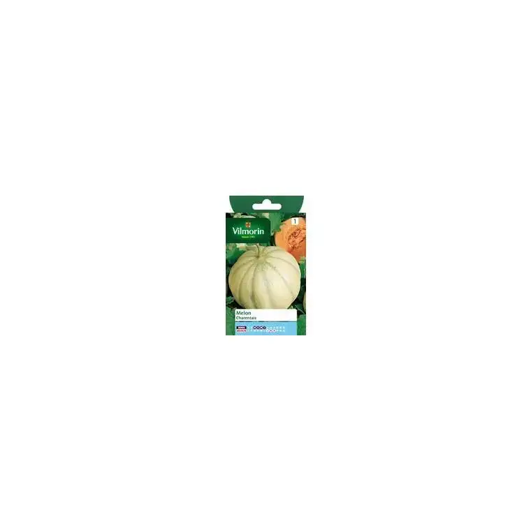 Melon Charentais Vilmorin – graines à semer Achat Immédiat