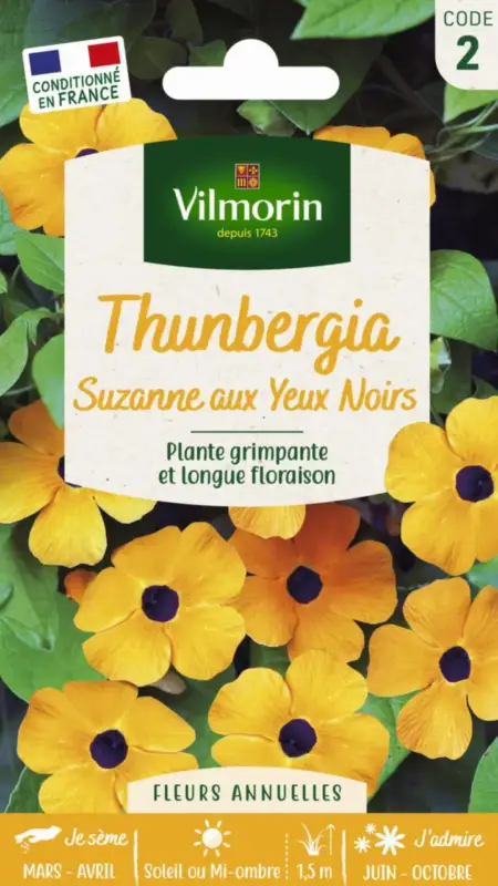 Retour Gratuit Thunbergia Suzanne aux yeux noirs Vilmorin – graines à semer