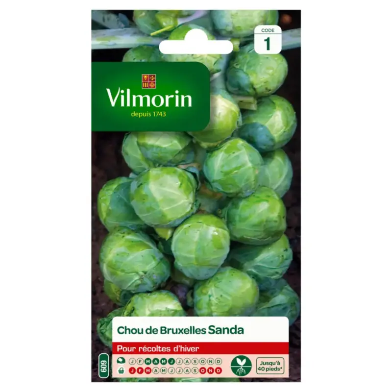 Soldes Chou de Bruxelles Sanda Vilmorin – graines à semer