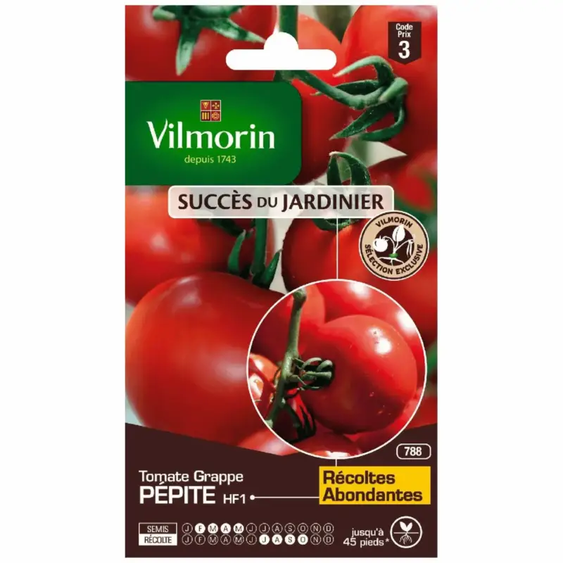 Dernier Modèle Graines de Tomate Pépite HF1 Vilmorin – graines à semer