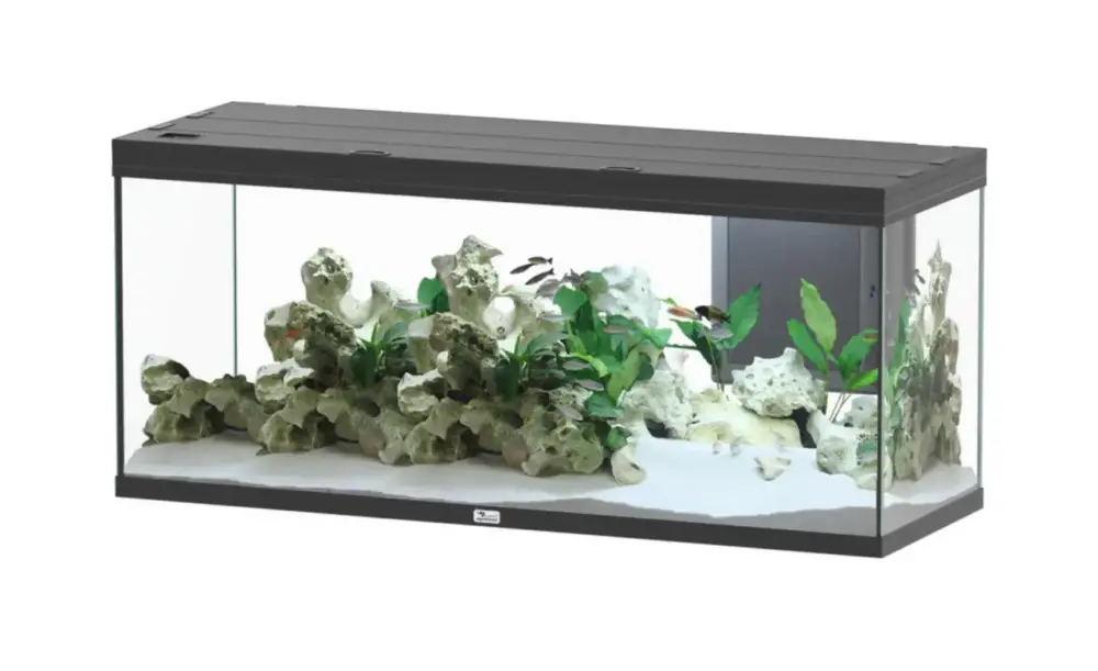 Aquarium coloris noir Aquatlantis Volga LED 2.0 450 L – 152 x 52 x 67 cm Produit De Marque