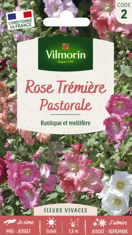 Rose Tremière Pastorale Vilmorin – graines à semer Commande En Gros