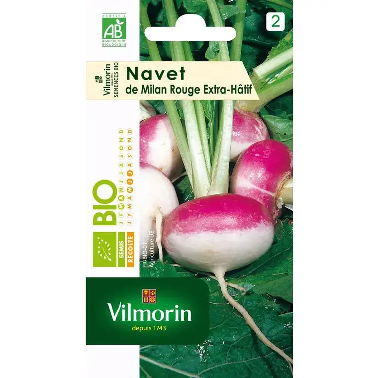 Vente Flash Navet de Milan Extra-Hâtif Vilmorin – graines à semer