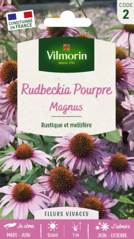 Rudbeckia Pourpre Magnus Vilmorin – graines à semer Prix Promo