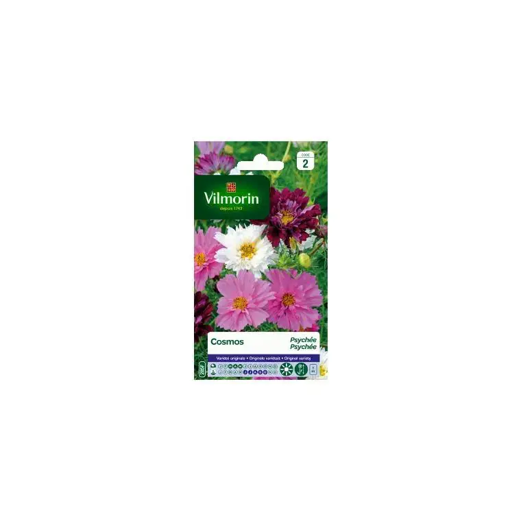 Graines de Cosmos Psyché varié Vilmorin – graines à semer Bon Marché