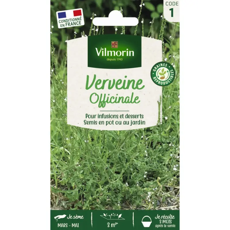 Commander Maintenant Verveine officinale Vilmorin – graines à semer