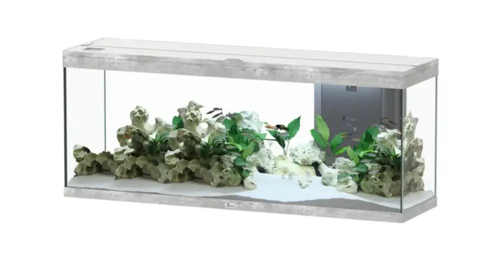 Achat Immédiat Aquarium coloris béton Aquatlantis Splendid Ultra 150 298 L – 150 x 40 x 83 cm