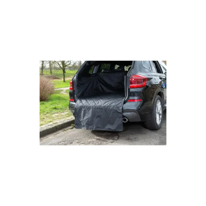Affaire À Saisir AniOne Couverture de protection pour voiture et coffre de voiture