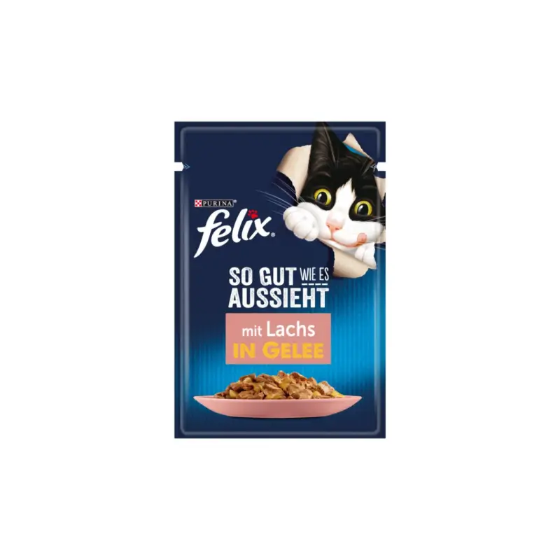 Populaire Felix Aussi bon que beau Saumon 104×85 g