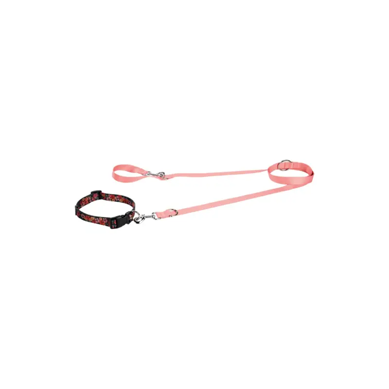 FIT+FUN Kit collier + laisse saumon L Expédition Rapide