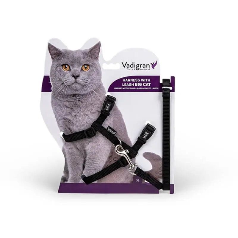 Usine Directe HARNAIS + LAISSE GRAND CHAT NOIR 34/57cm+120cm
