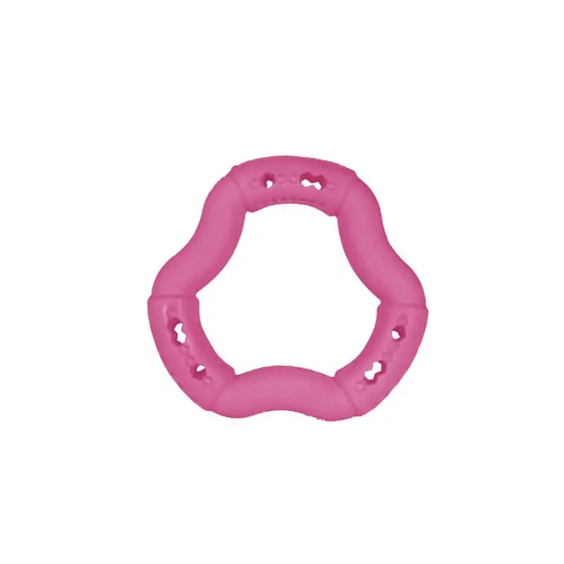Prix Cassé JOUET CHIEN TPR ANNEAU RED FRUTTI 12cm