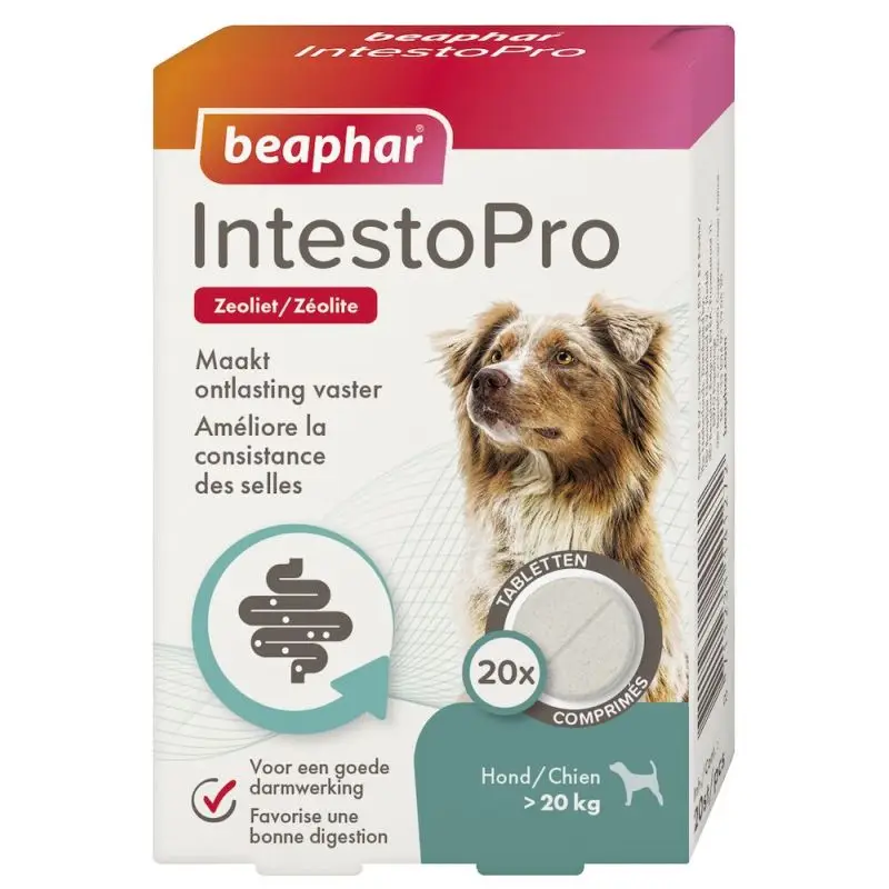 COMPRIMES TROUBLES GASTRO INTESTINAUX chiens INTESTOPRO Certifié
