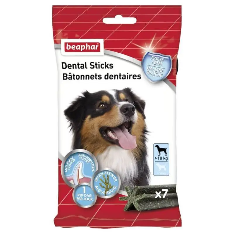 BATONNETS DENTAIRES GRANDS CHIENS Certifié