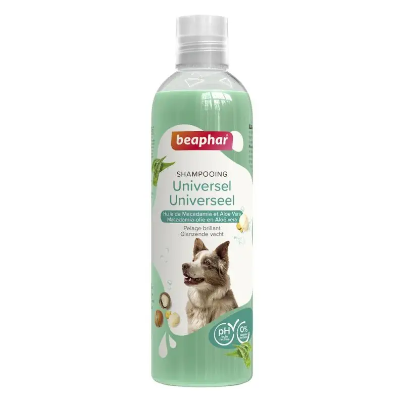 Prix Bas SHAMPOING UNIVERSEL 250ml