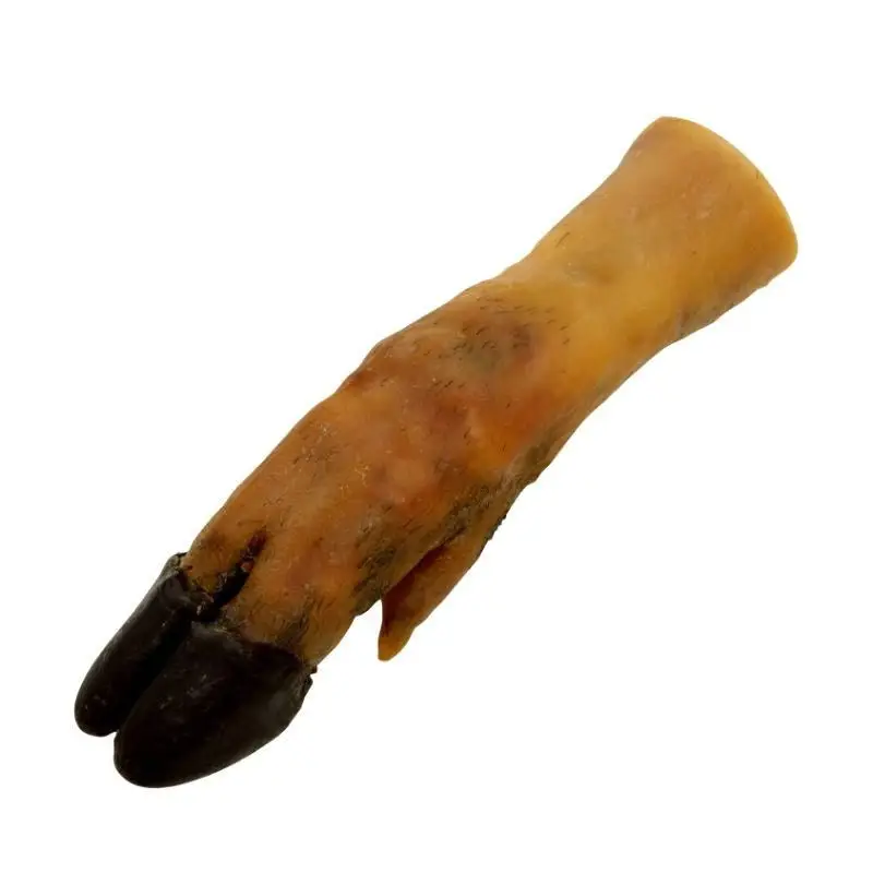 Soldes PIED DE PORC x10
