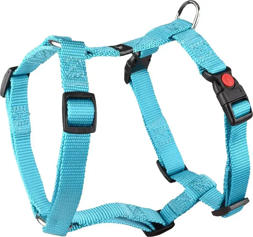 Remise Harnais Chien – Flamingo Harnais H nylon Ziggi S Turquoise – 35 / 50 x 1,5 x 0,2 cm