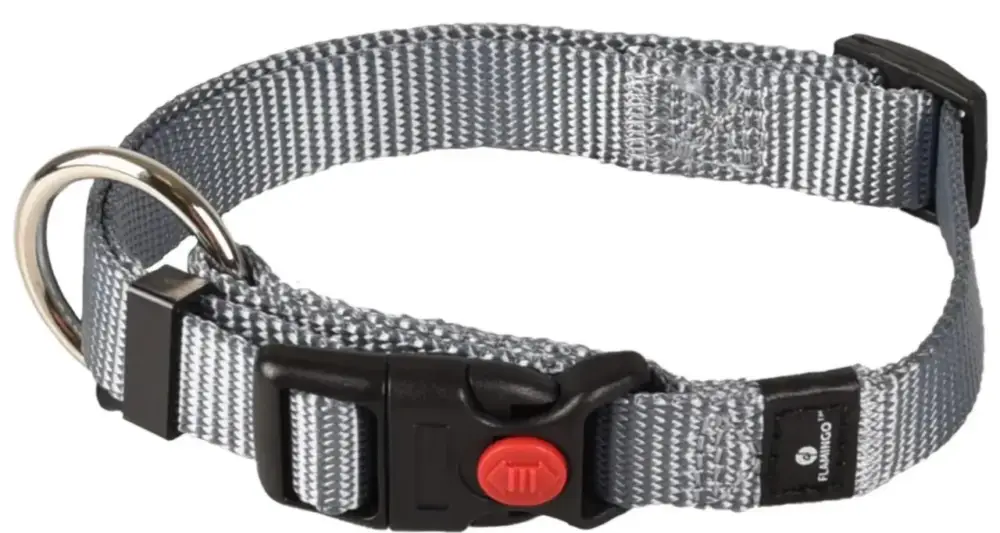 Top Vente Collier Chien – Flamingo Collier nylon Ziggi S Gris – 30 / 45 x 1,5 x 0,2 cm