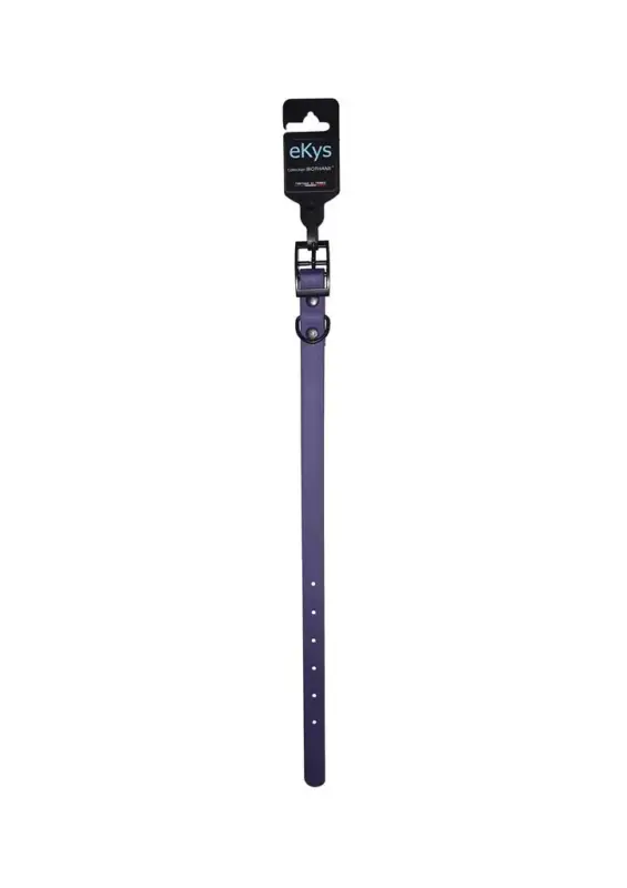 Must-Have Collier Chien – eKys BioThane® Violet – 18 mm