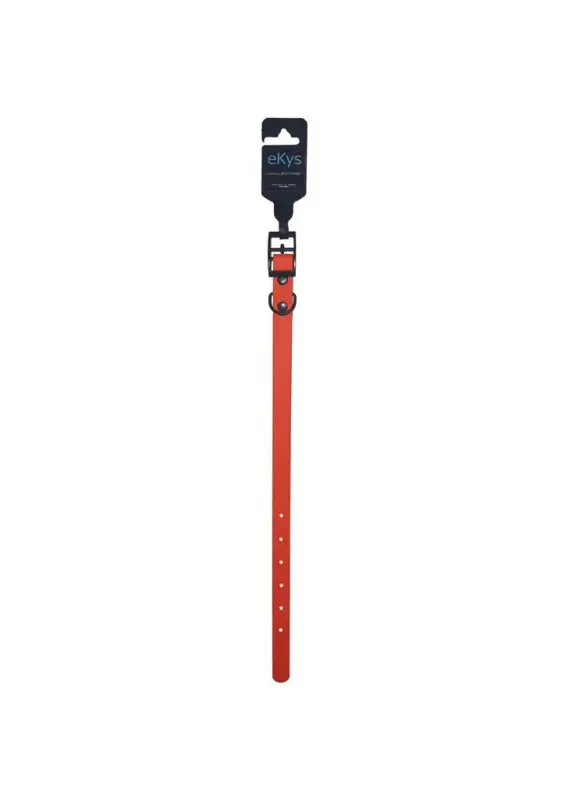 Commander Maintenant Collier Chien – eKys BioThane® Vert – 18 mm