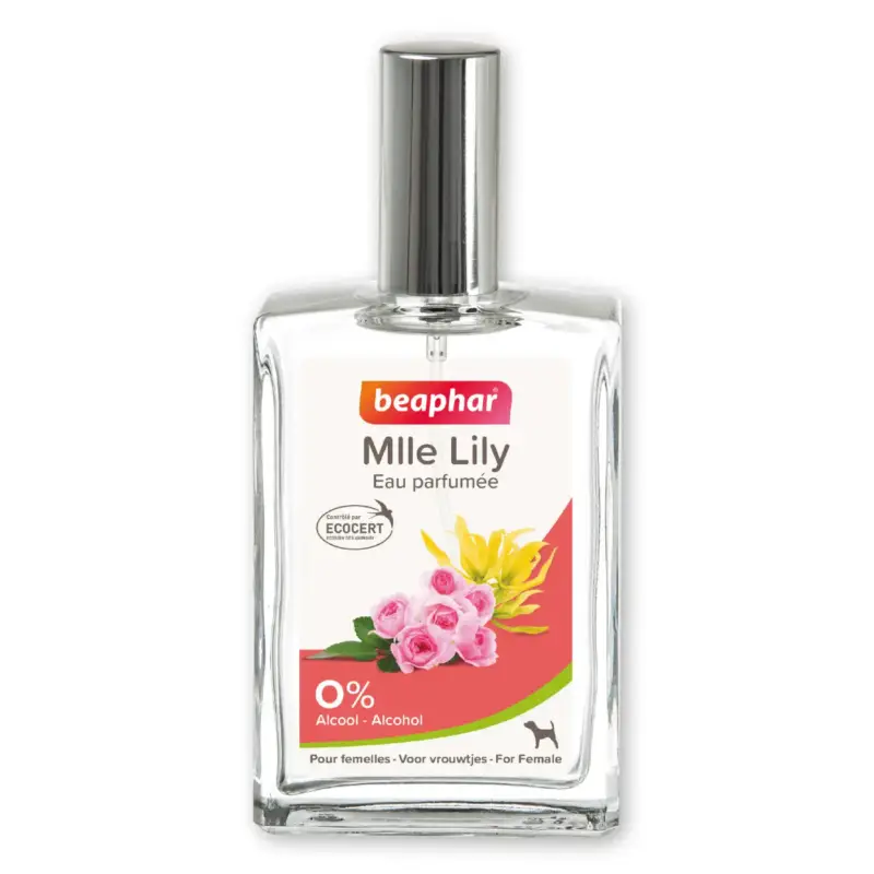 Soin Chien – Beaphar Eau parfumée Mlle Lilly pour chien femelle – 50 ml Prix Promo
