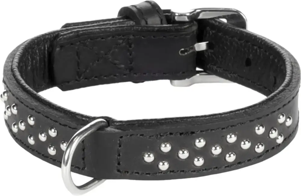 Collier Chien – Collier Rondo clouté Noir – 37 x 2,2 x 0,5 cm Achat Immédiat