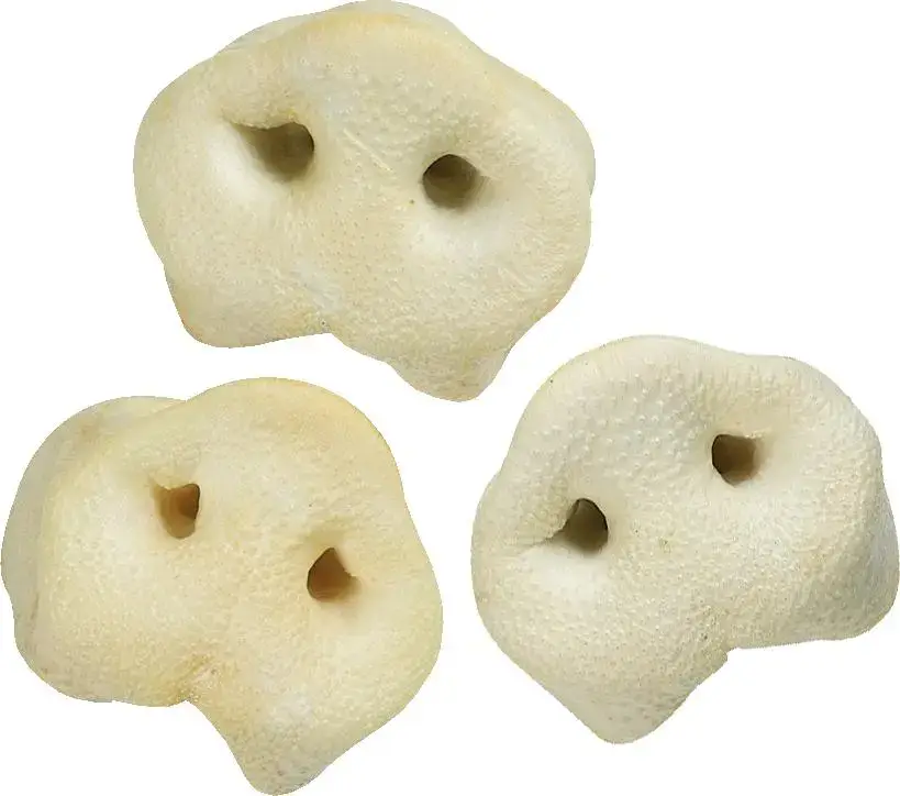 Réduction Friandise Chien – Flamingo Nez de porc soufflé au miel – En vrac à l&rsquo;unité