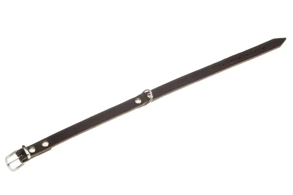 Collier Chien – Flamingo Collier Rondo Marron – 57 x 2 cm Prix Choc