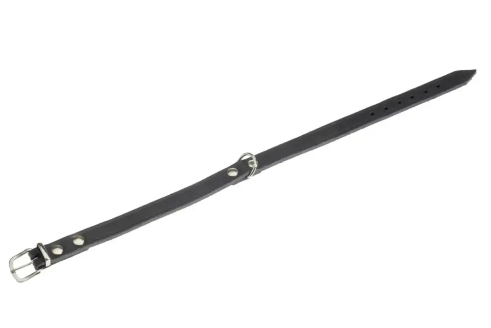 Promotion Collier Chien – Flamingo Collier Rondo Noir – 57 x 2 cm