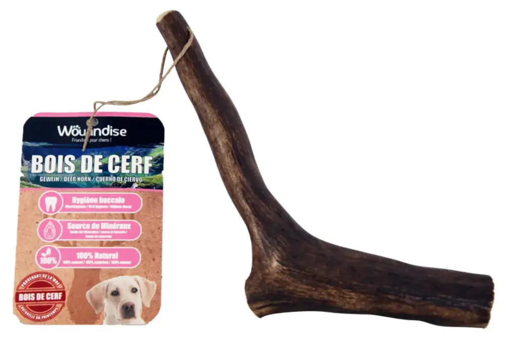 Friandise Chien – Wouapy Bois de cerf – Taille L Remise