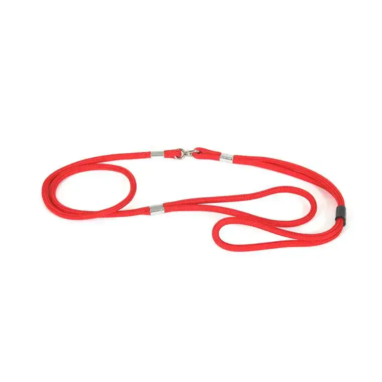 Prix Choc Laisse Chien – Martin Sellier Laisse de présentation rouge – 0,7 x 120 cm