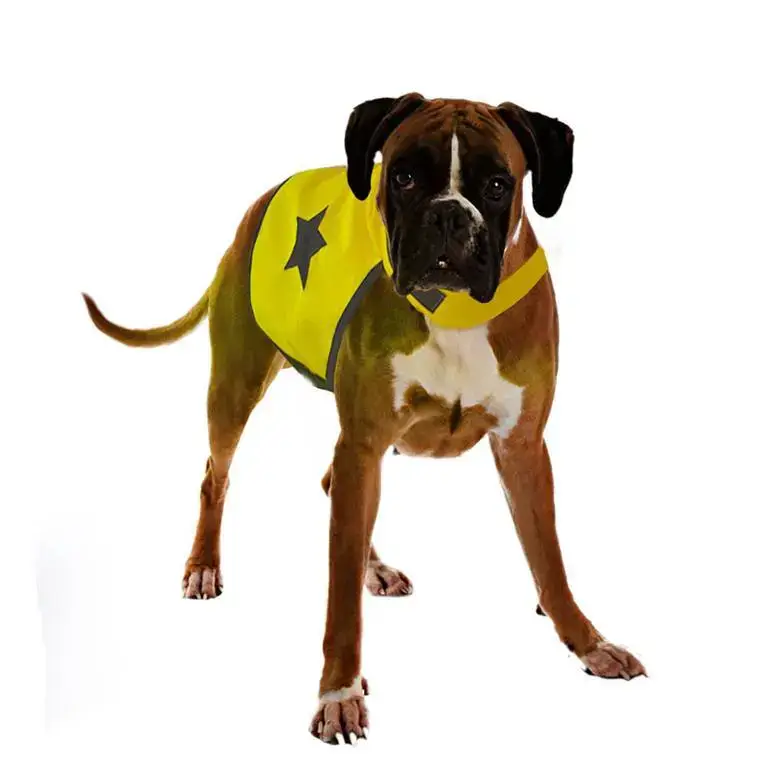 Meilleure Vente Gilet de sécurité jaune fluo pour chien 56 cm