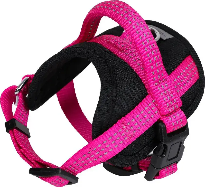 Jusqu&rsquo;à Épuisement Des Stocks Harnais Chien – Wouapy Harnais confort Protect Taille M Fuschia – 42/70 x 2,5 cm
