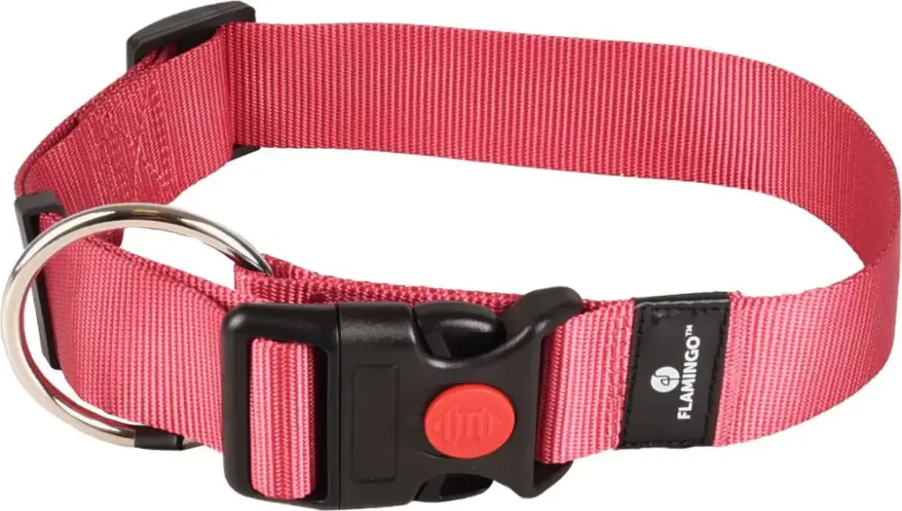 Collier Chien – Flamingo Collier nylon Ziggi XL Rose – 55 / 75 x 4 x 0,2 cm Dernier Modèle