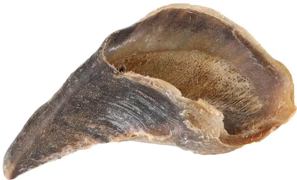 Bon Marché Friandise Chien – Flamingo Nature snack Sabot de vache -En vrac à l&rsquo;unité