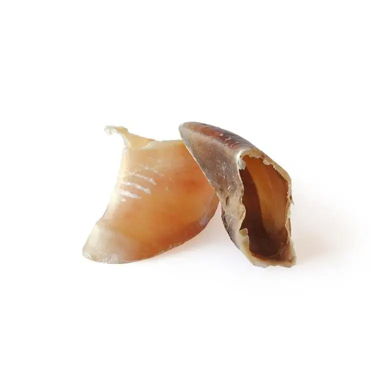 Bubimex Sabot de veau 5 x 5 x 5 cm – En vrac à l&rsquo;unité Expédié Aujourd&rsquo;hui