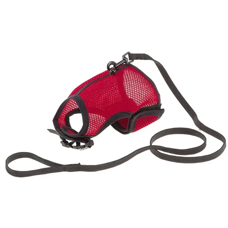 Offre Du Jour Harnais et laisse pour lapin – Ferplast