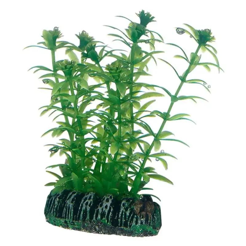 Bon Marché Hobby Lagarosiphon