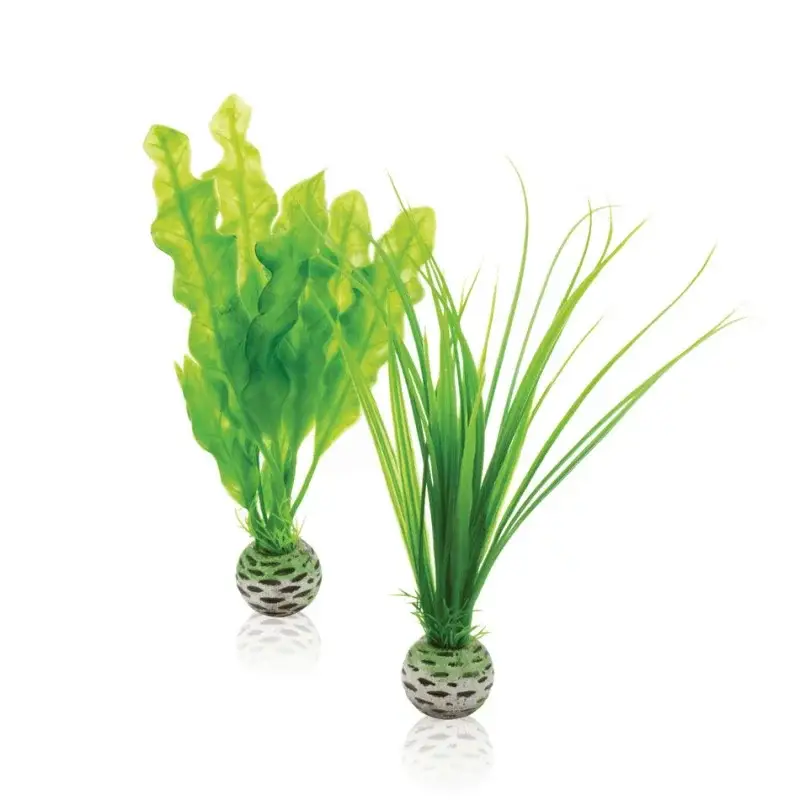 Prix Bas Oase Biorb Set plantes vertes