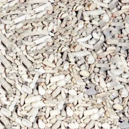 Zdrobljene korale – velikost 10-15 mm – Prodaja se na kilograme Nouvel Arrivage