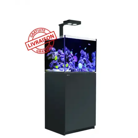Expédition Rapide RED SEA – Aquarium Max® E-170 + 1 ReefLED – Schwarzer Schrank + Dekantierung – 170 Liter