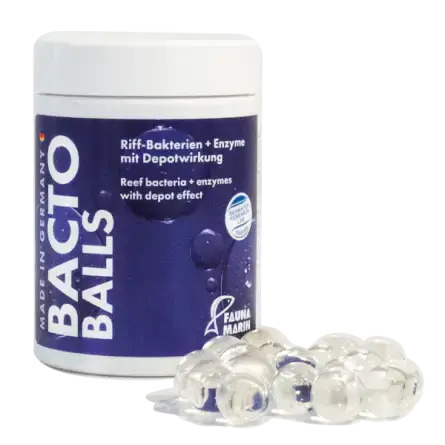 Commander Vite FAUNA MARIN – Bacto Reef Balls – 100ml – Bacterias de acuario
