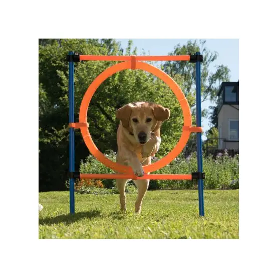 Super Prix Agility : Anneau Dog Activity