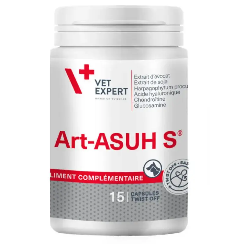 Bon Marché Art-Asuh S