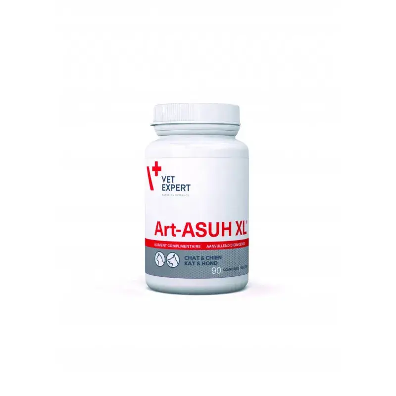 Art-Asuh XL Prix Promo