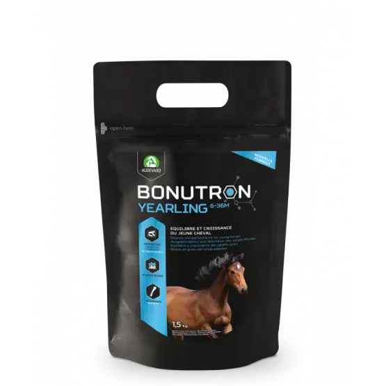 Commander Maintenant Bonutron Yearling 6-36m New